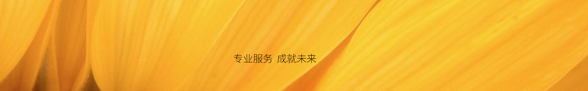 常见问题